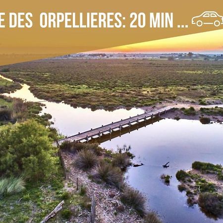 Centre Historique - Free Parking - Self Checkin - Wifi - Industriel - Sleepntripbeziers Béziers Exterior foto