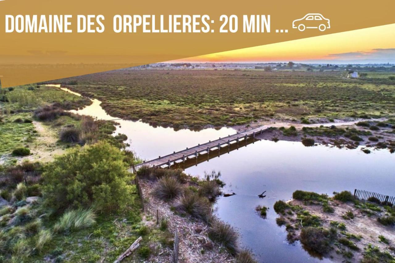 Centre Historique - Free Parking - Self Checkin - Wifi - Industriel - Sleepntripbeziers Béziers Exterior foto